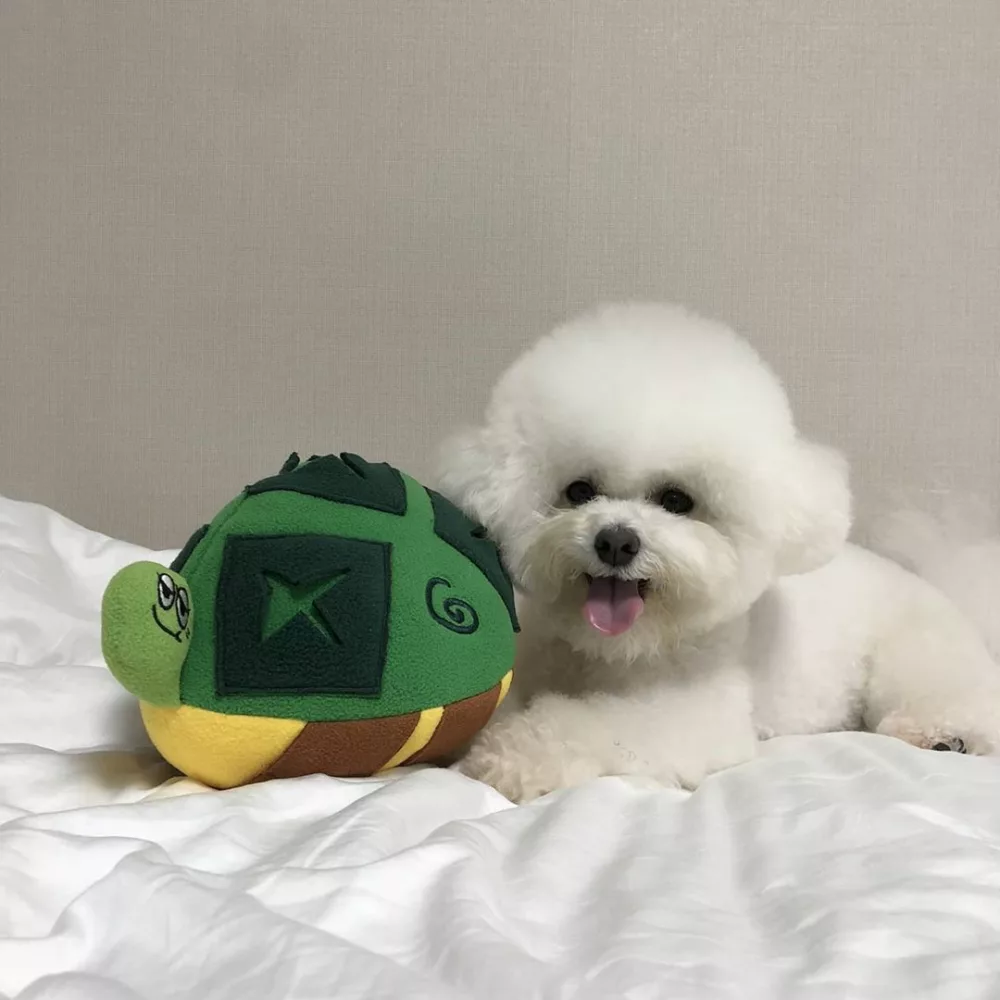 Interactive Turtle Nose Work Dog Toy
