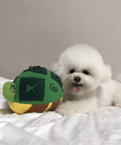 Interactive Turtle Nose Work Dog Toy