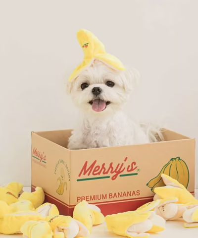 Banana Interactive Dog Toy