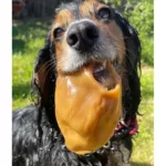 Makspatch - Natural Vegan Pigs Ear Shaped - Image 2
