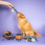 Blueberry Superfoods XL Yaker - Image 2