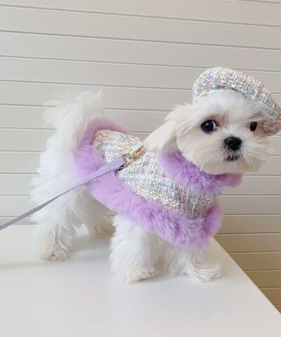 Elegant Tweed Dog Coat Set