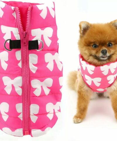 Bow D Ring Harness Gillet