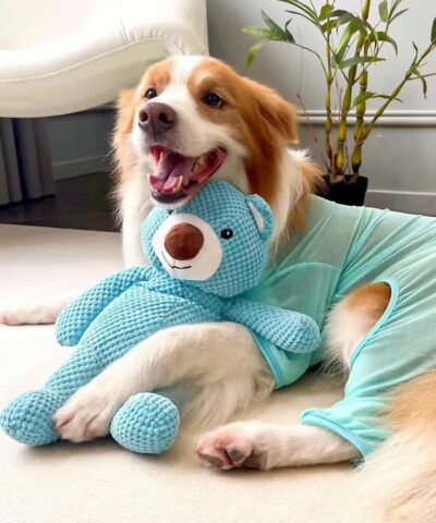 Large Squeaky Dog Bear Toy