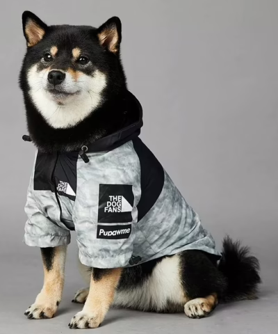 Dog Face Waterproof Raincoat