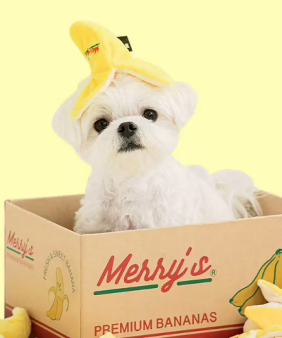Interactive Nose Work Dog Toy