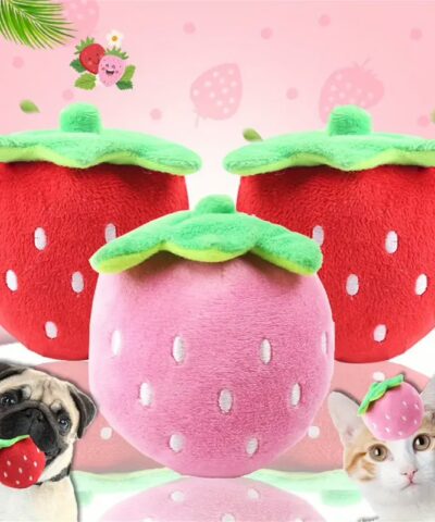 Plush Strawberry Dog Toy