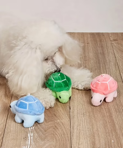 Turtle Plush Toy for Dogs
