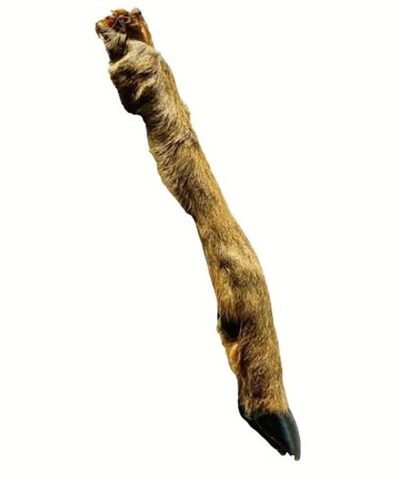 Anco Naturals Hairy Roe Deer Leg
