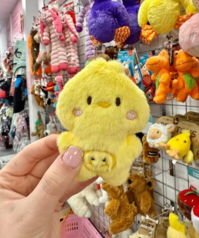 Yellow Chick Plush Dog Toy