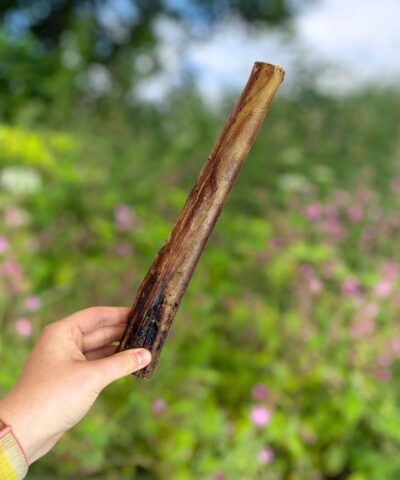 Ostrich Marrow Bones For Dogs